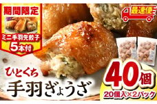 【最速便】【期間・数量限定】ひとくち手羽ぎょうざ 計40個(20個入×2)・手羽先餃子(小サイズ5本)| 餃子 手羽 てば 肉 お肉 手羽先 手羽先餃子 宮崎餃子 ご当地 グルメ ご当地グルメ おつまみ おかず 中華料理 焼き餃子 揚げ餃子 鶏肉 豚肉 牛肉 一口 ひとくち 一口サイズ 冷凍 宮崎 宮崎市 ｜_M025-005-B-2W