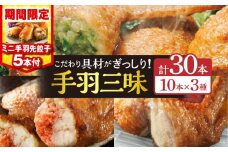 【2026年1月発送】【期間・数量限定】手羽先3種セット(手羽先餃子・手羽先明太・手羽先チーズ)各10本入り・手羽先餃子(小サイズ5本)_M025-001-02-B-jan
