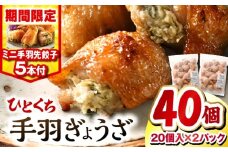 【2025年11月発送】【期間・数量限定】ひとくち手羽ぎょうざ 計40個(20個入×2)・手羽先餃子(小サイズ5本)| 餃子 手羽 てば 肉 お肉 手羽先 手羽先餃子 宮崎餃子 ご当地 グルメ ご当地グルメ おつまみ おかず 中華料理 焼き餃子 揚げ餃子 鶏肉 豚肉 牛肉 一口 ひとくち 一口サイズ 冷凍 宮崎 宮崎市 ｜_M025-005-B-nov
