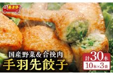 【最速便】手羽先餃子30本入り_M025-001-03-2W