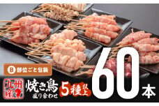 【11月発送予定】九州産若鶏の焼き鳥セット5種以上(60本)盛り合わせ_M146-001_nov
