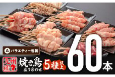 【12月発送予定】九州産若鶏 焼き鳥5種(60本)バラエティーセット_M146-016_dec