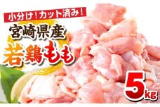 【11月発送予定】宮崎県産若鶏 もも肉 5kg(250g×20パック)_M146-008_02_nov