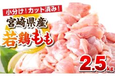 【12月発送予定】宮崎県産若鶏 もも肉 2.5kg（250g×10パック）_M146-008_01_dec