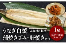 《2025年12月発送予定》うなぎ白焼(大サイズ)・きざみ・肝焼きセット_M069-020-dec