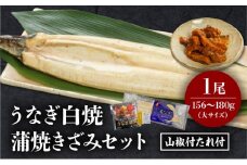 《2025年12月発送予定》うなぎ白焼(大サイズ)・きざみセット_M069-021-dec