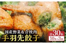 手羽先餃子30本入り_M025-001-03
