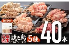 【10月発送予定】九州産若鶏 焼き鳥5種(40本)バラエティーセット_M146-015_oct