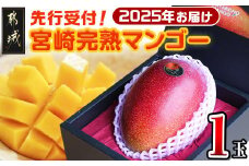 【先行受付!】宮崎完熟マンゴー1玉(都城産)_MJ-3301_(都城市) 宮崎マンゴー A等級 1玉入り (2Lサイズ～3Lサイズ)  果物 フルーツ 化粧箱 宮崎県産(都城産)で産地直送 冷蔵