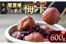 徳重おばあちゃんがつくった昔ながらの3年熟成梅干600g_MJ-4901_(都城市) あったかいご飯やお茶漬け・お料理の調味料に 鶯宿梅(おうしゅくばい) 梅ぼし 自然栽培・無添加 肉厚 徳重紅梅園