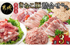 「きなこ豚」詰合せ3kg_MA-1206_(都城市) ブランド豚 柔らかい豚肉 豚バラ焼肉用 豚ロース生姜焼き 豚肩ロース焼き肉 ウデモモ小間切れ モモミンチ ハンバーグ おかず