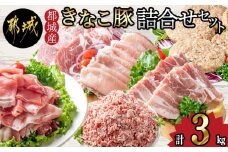 「きなこ豚」詰合せ3kg_MA-1206_(都城市) ブランド豚 柔らかい豚肉 豚バラ焼肉用 豚ロース生姜焼き 豚肩ロース焼き肉 ウデモモ小間切れ モモミンチ ハンバーグ おかず