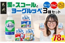 「ご当地ドリンク」愛のスコール・ヨーグルッペ3種セット_AD-2301_(都城市) 乳性炭酸飲料 愛のスコール 500ml 乳酸菌飲料 ヨーグルッペ ヨーグルッペりんご ヨーグルッペフルーツミックス