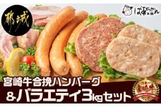 宮崎牛合挽ハンバーグとバラエティ3kgセット_17-1507_(都城市) ジューシーな合挽ハンバーグ(160g×10) ブランドポーク 観音池ポークの豚バーグ(100g×8個) トンバーグ ベーコン チーズ入りフランク 惣菜 お弁当 おかず