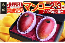 【先行受付!】宮崎完熟マンゴー2～3玉(都城産)_AC-3303_(都城市) 宮崎マンゴー A等級 2玉～3玉 2Lサイズ～3Lサイズ MANGO 2025年 フルーツ 化粧箱 宮崎県産 都城産 産地直送 冷蔵
