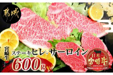 宮崎牛(A5)ヒレ&サーロインステーキ600g_MB-0125_(都城市) 牛肉 牛サーロインステーキ肉 200g×2枚 牛ヒレステーキ肉 100g×2 合計600グラム 食べ比べ 贅沢ディナー Ａ5ランク 5等級 ギフト 贈答用