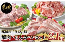 「きなこ豚」焼肉・とんかつセット 計2.1kg_MJ-1204_(都城市) ブランド豚 豚カツ用 トンカツ用(ロース / 肩ロース) 焼き肉用 (豚バラ / 豚肩ロース) 切り落とし 小間切れ