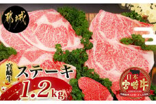総重量1,200g！都城産宮崎牛ステーキ食べ比べセット_MM-0101_(都城市) 牛肉 A5ランク サーロインステーキ 200g×2枚 ヒレステーキ 100g×2枚 リブロースステーキ 300g×2枚 ギフト 贈答用