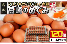 アスタキサンチン入り赤卵「高崎のめぐみ」120個_MJ-6802_(都城市) 赤卵 L玉～M玉 120個 重量約7kg アスタキサンチン入り 新鮮たまご 玉子焼き 化粧箱入り