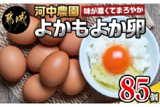 よかもよか卵85個 約5kg_MJ-2910_(都城市) 河中農園 味が濃くてまろやかなタマゴ  濃い黄身 たまご 玉子 破損補償 お菓子