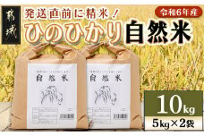 都城市高崎町産ひのひかり「自然米」10kg_22-6801_(都城市) 5kg×2袋 高崎町 ヒノヒカリ 白米 お米10kg 産地直送 精米