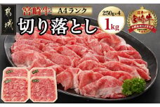 宮崎牛切り落とし1kg(250g×4パック)_AC-5401_(都城市) 牛肉 国産黒毛和牛 都城産宮崎牛 (A4ランク) ４等級 切落し (250g×4) 合計1キロ すき焼き 牛鍋 炒めもの 牛丼 四等級
