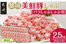 「都城美鮮豚」バラしゃぶ2.5kg_AC-5402_(都城市) 豚肉 ブランド豚 都城美鮮豚 銘柄豚 豚バラしゃぶしゃぶ肉 250g×10パック 2.5kg 炒め物 丼もの
