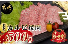 宮崎牛特選カルビ焼肉(A5)_MA-A003_(都城市) 牛肉 A5等級の宮崎牛 特選カルビ焼肉 (500g) A5ランク 最高級の国産黒毛和牛 最上級の霜降り牛肉 焼き肉 バーベキュー 鉄板焼きにどうぞ  『内閣総理大臣賞』を受賞した生産者のお肉です!