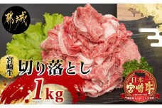 宮崎牛切り落とし(A5)_MK-A001_(都城市) 牛肉 都城産宮崎牛(A5) 切り落とし 1kg(250g×4パック) 『内閣総理大臣賞』を受賞した生産者のお肉です！ ブランド牛 国産黒毛和牛 霜降り 切落し合計1キロ すき焼き・しゃぶしゃぶに A5等級