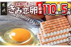 「きみ恋卵」110個定期便(5ヶ月)_T40（5）-2901_(都城市) 赤卵 きみ恋卵 Ｍサイズ 110個 約6.5kg