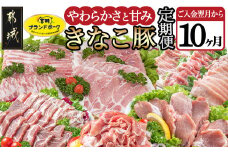 「きなこ豚」定期便(10ヶ月)_T80（10）-1201_(都城市) 豚肉 ブランド豚のお肉を10ヶ月間毎月お届け ブランドポーク しゃぶしゃぶ とんかつ 焼き肉など