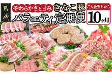 「きなこ豚」バラエティ定期便(10ヶ月)_T120（10）-1202_(都城市) 宮崎県産豚肉 都城産きなこ豚 豚バラ ロース 肩ロース ウデ・モモ ミンチ ハンバーグ 小間切れ しゃぶしゃぶ とんかつ 焼き肉 生姜焼き