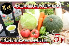 季節に合わせた都城茶と都城野菜のセット定期便(5回)_T40（5）-3701_(都城市) 都城茶 深蒸し 定期便 秋冬野菜 春夏野菜 ティーパック 粉末煎茶
