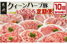 「クイーンハーブ豚」のいろいろ定期便(10ヶ月)_T120（10）-2902_(都城市) 豚肉の定期便 しゃぶしゃぶ用(豚しゃぶ)や焼き肉用 豚ミンチ・豚カツ用などお届け 宮崎県産豚肉　(都城市産豚肉)