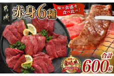 宮崎牛赤身6種 合計約600g_16-2601_(都城市) 牛肉 赤身 希少部位 食べ比べ 焼き肉 焼肉 BBQ ウデミスジ ウデ三角 ウデクリ とうがらし ウデ赤身 ウデカルビ 約100g 計600g 6種類セット