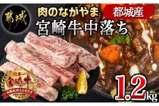 宮崎牛中落ち1.2kg_MJ-2509_(都城市) 宮崎県産宮崎牛 A4ランク以上 牛中落ち肉 600g 2パック 牛中落ちカルビ ゲタ 中バラ 国産 牛バラ肉 カレー おでん 煮込み料理