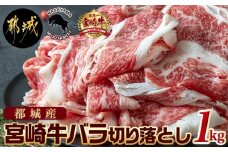 宮崎牛バラ切り落とし1kg_MJ-2511_(都城市) A4ランク A4等級 国産黒毛和牛 都城産宮崎牛 ブランド牛肉 牛バラ切り落とし 500g×2パック 合計1kg すき焼き 牛丼 冷凍保存
