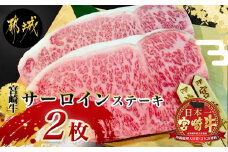 宮崎牛(A5)サーロインステーキ220g×2枚_MA-7701_(都城市) A5ランク サーロインステーキ(220g×2枚セット) ステーキソース(2個) あらびきコショウ(2個) ブランド牛肉 最高等級 5等級 ギフト 贈答用