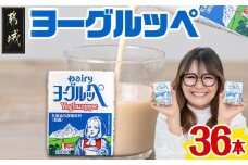 ヨーグルッペ36本セット_11-2306_ (都城市) 乳製品乳酸菌飲料 ヨーグルッペ 200ml 18本 2ケース 合計36本 紙パック プレーン味 ご当地ドリンク デーリィ南日本酪農協同 Dairy 大人