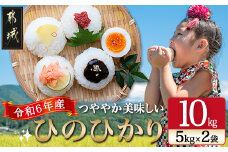 都城産ひのひかり10kg(5kg×2袋)_22-0401_(都城市) お米 ひのひかり 10kg 5kg×2袋 旨さ抜群 都城市のお米 冷めてもおいしい もちもち