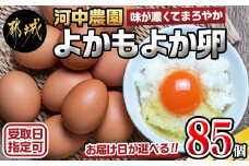 【お届け日を選べる♪】よかもよか卵85個_MJ-2910-D_(都城市) 河中農園 味が濃くて まろやかな タマゴ 5kg 6種のハーブ配合 酵母 プロバイオティクス肥料  濃い黄身