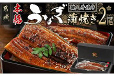 職人手焼きの本格うなぎ蒲焼き2尾 _MJ-3305_(都城市) 国産 本格 うなぎ 鰻 蒲焼 宮崎 じっくり 特製タレ 香り豊かな ふっくら 香ばしい うなぎ