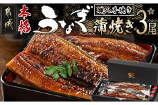 職人手焼きの本格うなぎ蒲焼き3尾_AC-3301_(都城市) 鰻蒲焼 3尾 (総重量450g以上) タレ付き (30ml×3個) 国産うなぎの蒲焼き 特製たれ付き 冷凍 ウナギ かば焼き うなぎ