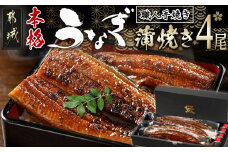 職人手焼きの本格うなぎ蒲焼き4尾_AD-3301_(都城市) 国産 本格 うなぎ 鰻 蒲焼