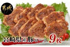 宮崎県産豚ロース手作り味噌漬け9枚_AA-2504_(都城市) 豚肉 みそ漬け 豚ロース味噌漬け 100g×9枚 オリジナル手作り味噌漬け 豚 真空パック 冷凍保存可 おかず お手軽調理
