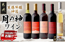 天孫降臨神話・月の神 ワイン5本セット≪みやこんじょ特急便≫_AF-2007_ (都城市) 赤ワイン 720ml 750ml 白ワイン 375ml 極甘口 辛口 やや甘口 11度 12度 13度 14度 お酒 地酒 果実酒 ぶどう酒 葡萄酒