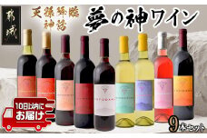 天孫降臨神話・夢の神 ワイン9本セット ≪みやこんじょ特急便≫_74-2001_(都城市) 赤ワイン 白ワイン ロゼワインやや甘口 辛口 やや辛口 果実酒