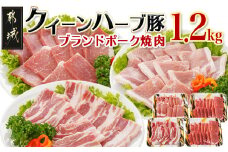 「クイーンハーブ豚」焼肉1.2kgセット_11-2903_(都城市) ブランドポーク バラ ロースまたは肩ロース ウデ・モモ 焼き肉用カット  BBQ バーベキュー