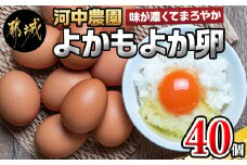よかもよか卵40個_AA-2910_(都城市) 赤卵Mサイズ 破損補償(5個追加) 生卵 鶏卵 玉子 タマゴ たまご 新鮮 濃厚 宮崎県産 家庭用 卵かけご飯 シフォンケーキ たまご焼き オムレツ お料理・お菓子作りに