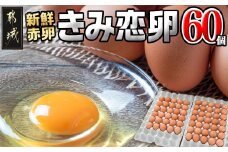 新鮮赤卵「きみ恋卵」60個_AA-2911_(都城市) 赤玉子 Mサイズ 60個 きみ恋卵 冷蔵 チルド 赤たまご 河中農園 取れたて新鮮たまご タマゴ たまご 鶏卵 お菓子作りにも最適
